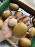 佳沛（zespri）新西兰  阳光金奇异果10粒礼盒巨大果单果约144-175g 水果 猕猴桃 实拍图