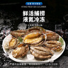 金唐鲜冻大鲍鱼净重500g/ 10头鲍 带壳鲍鱼肉 贝类海鲜生鲜火锅烧食材 实拍图