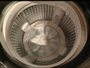 海尔（Haier）波轮洗衣机全自动家用12公斤大容量XQB120-BZ20D1 京东自营直驱变频一级能效家电国家补贴以旧换新 实拍图