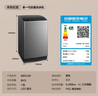 TCL 8公斤抗菌小型波轮洗衣机全自动家用V2R 一级能效 宿舍租房 家电国家补贴 以旧换新B80V2R 实拍图