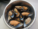 美加佳智利半壳贻贝肉净重2斤（半壳熟冻）60-80只  海鲜水产  实拍图