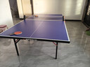 双鱼 乒乓球桌室内家用可折叠乒乓球台（ 京仓速发+网架）耐用JD500 实拍图