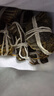 【活蟹】漁家师傅优选大闸蟹公5-5.3两母4-4.3两5对10只 螃蟹鲜活生鲜现货水产海鲜礼盒 实拍图