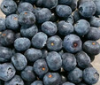 山姆大叔 蓝莓巨无霸【空运-多地次日达】新鲜鲜果水果礼盒年货节送礼 【超甜·特大果| 金标】18mm+ 125g*4盒装【巨划算-80%人选】协会推荐* 净400g 实拍图