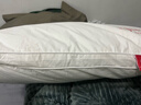 颈安 NeckSafe/全棉枕头枕芯纯棉面料防污渍酒店枕学生宿舍护颈枕棉蒲 三防-高枕(升级/防污款) A类 单只 实拍图