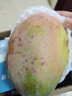 京鲜生 攀枝花凯特芒果 净重4.5斤 单果700g 生鲜水果 源头直发 实拍图