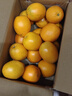 集南鲜 赣南脐橙 江西橙子新鲜现摘水果脐橙时令生鲜水果甜橙 水果礼盒 彩箱10斤特级橙  单果220g+ 净重9斤 推荐 实拍图