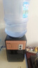 美幸达饮水机迷你小型家用台式桶装水加热桌面宿舍用矿泉水怡宝冰热型学生2025新款 【升级款 温热型 带防尘门】 实拍图