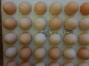 京觅富硒鲜鸡蛋 无抗生素  营养健康 30枚/盒3斤  源头直发 实拍图