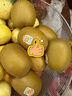 佳沛（zespri）新西兰  阳光金奇异果10粒礼盒巨大果单果约144-175g 水果 猕猴桃 实拍图