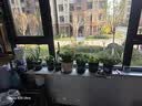 德沃多多肉优芽素500mL多肉专用促芽催芽花肥料促多头侧芽爆芽素营养液 实拍图