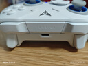 飞智冰原狼4多模版无线游戏手柄 类xbox 力调节摇杆双切扳机 switch电脑PC手机steam体感NS 丝之歌 实拍图