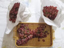 京鲜生 克伦森无籽红提 净重2斤装 葡萄/提子克伦生 水果 源头直发 实拍图