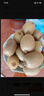 佳沛（zespri）新西兰  阳光金奇异果25-27粒原箱特大果单果约122-146g  猕猴桃 实拍图