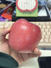 广兴果园山东烟台栖霞红富士苹果水果年货节日礼盒新鲜礼品福利 一级果 85mm 15颗礼盒 实拍图