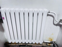金旗舰暖气片家用钢制水暖壁挂式全屋暖气定制集中供暖自采暖立式散热器 防腐金刚60F-高600mm 6分口 实拍图