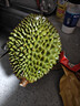 京鲜生马来西亚D197猫山王榴莲冷冻4-4.5斤保4房新鲜水果 实拍图
