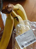 黄胖子进口香蕉650g 实拍图