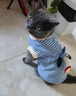 阿莫尔狗狗衣服秋冬装加厚可牵引泰迪比熊博美小型犬保暖可爱四脚衣新款 红条纹帽子狗 M（建议体重5-8斤 参考胸围背长） 实拍图