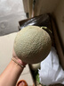 琪江果海南网纹蜜瓜 玫珑冰淇淋蜜瓜当季新鲜水果整箱 净重2.5-3斤1-2个网纹蜜瓜 实拍图
