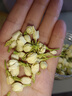 优卓特级茉莉花茶花苞茶叶新花干花蕾花草茶滋补2025年头茬养生茶50g 实拍图