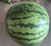 京鲜生 无籽麒麟西瓜 1粒装 单果5-7斤 生鲜水果 实拍图