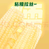 十月稻田 白糯玉米 4.16斤(260g*8根) 东北甜黏玉米棒 早餐苞米 低脂零食 实拍图