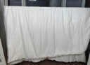 蚕花娘娘【丝路传奇】100%桑蚕丝被子春秋薄被芯 丝重3斤200*230cm【白】 实拍图