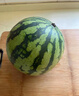 京鲜生 无籽麒麟大西瓜 1粒装 7-9斤 生鲜水果 实拍图