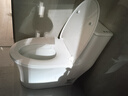 九牧（JOMOO）11176-2-1/31K-1 大力神升级家用马桶虹吸抗菌坐便器305坑距 实拍图