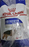 皇家狗粮 成犬狗粮 犬粮 宠物大型犬 GR26全价犬粮≥15月15KG 实拍图