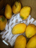 海南小台农芒果9斤新鲜现摘小台芒应当季时令热带水果整箱甜心芒 5斤净重4.5斤 【中果】实惠装 实拍图