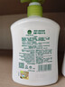 滴露（Dettol）洗手液茉莉绿茶清香500g*2 儿童洗手液家庭抑菌消毒 迪士尼 实拍图