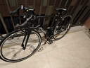 喜德盛公路自行车25款Rc200成人车14速变速车 黑银700C*510MM 实拍图