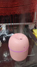 加湿器家用空气加湿器净化器香薰机空调房加湿器喷雾器usb静音卧室孕妇婴儿喷雾宿舍学生女生礼物 标准款【少女粉220ML+纳米雾化+静音加湿】 实拍图