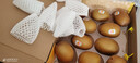 佳沛（zespri）新西兰  阳光金奇异果10粒礼盒巨大果单果约144-175g 水果 猕猴桃 实拍图