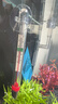 派乐特 鱼缸温度计高精度缸内潜水探头水温计水族专用 玻璃温度计 实拍图