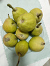 京鲜生新疆库尔勒香梨3斤装 全母梨 单果100-120g 源头直发 包邮 实拍图