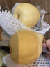 【已售50万斤】河北水晶鸭梨赵州鸭梨产地直发单果160g起 鸭梨带箱4斤（净重3.5斤） 实拍图