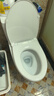 TOTO马桶CW817REB节水连体卫生间冲落式主体陶瓷智洁座便器(04-A) CW817【极漩式冲水】 305坑距 实拍图