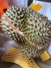 京鲜生 进口金枕头榴莲 净重6-7斤 1个装  鲜果 生鲜 新鲜水果 实拍图