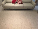 赛波斯琥珀|大宅标配新西兰羊毛地毯客厅高级感轻奢中古风隔音沙发2×3M 实拍图