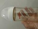 贝亲（Pigeon）PPSU宽口径防胀气奶瓶240ml L号奶嘴 6个月+ AA192 实拍图