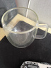Glasslock茶杯双层玻璃杯家用水杯咖啡杯耐高温泡茶杯办公室高硼硅450ml 实拍图