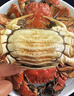 【活蟹】蟹宗鲜活大闸蟹螃蟹现货全母4.0-4.3两8只去绳足重生鲜海鲜礼盒节日送礼礼品 实拍图