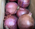 京鲜生 甘肃紫红皮洋葱净重5斤单果200g+ 现挖新鲜蔬菜 源头直发包邮 实拍图