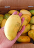 海南小台农芒果9斤新鲜现摘小台芒应当季时令热带水果整箱甜心芒 5斤净重4.5斤 【中果】实惠装 实拍图