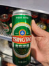 青岛啤酒（TsingTao）经典330ml*12罐整箱装 原麦汁浓度11.0°P 拉格啤酒 实拍图