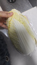 山东寿光大白菜黄心大娃娃菜农户现摘新鲜蔬菜原产地整箱批发 寿光白菜4斤 实拍图