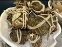 【活蟹】乾澄大闸蟹现货 公蟹4.0两母蟹3.0两 6只3对 鲜活螃蟹水产海鲜礼盒源头直发 实拍图